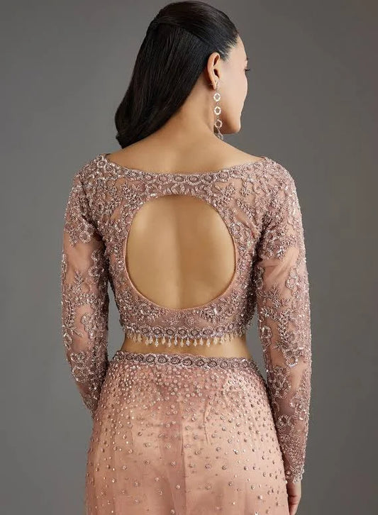 Embellished Net Saree With Full Sleeves Blouse