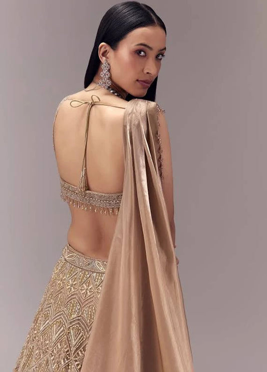 Draped Blouse and Embellished Lehenga Set