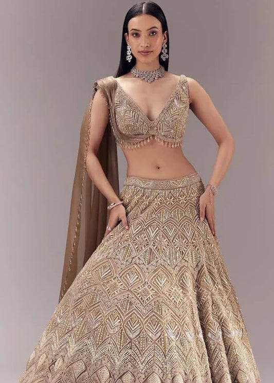 Draped Blouse and Embellished Lehenga Set